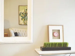 Home Caboolture Shower Screens 5 Mirrors Caboolture